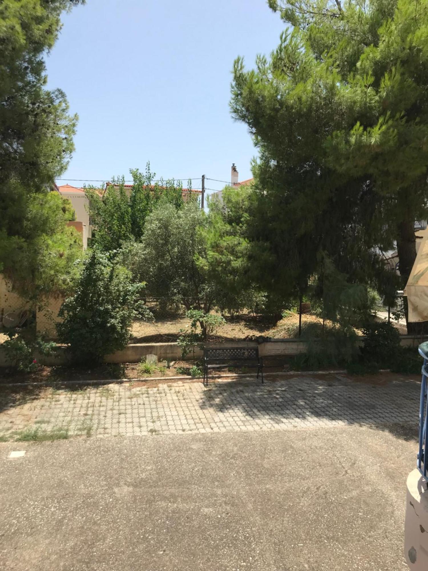 Apartment Aggelos *